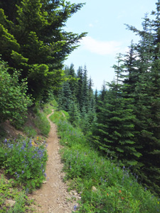 View of Suntop ridgeline peak