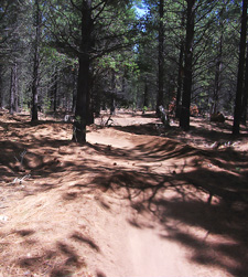 View of Bens Whoops Trail