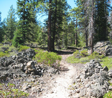 Edison Butte singletrack