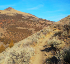 View of Gray Butte Trail