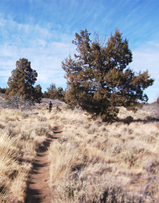 View of Horse Ridge Descent