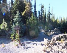 Sparks Lake Trailhead