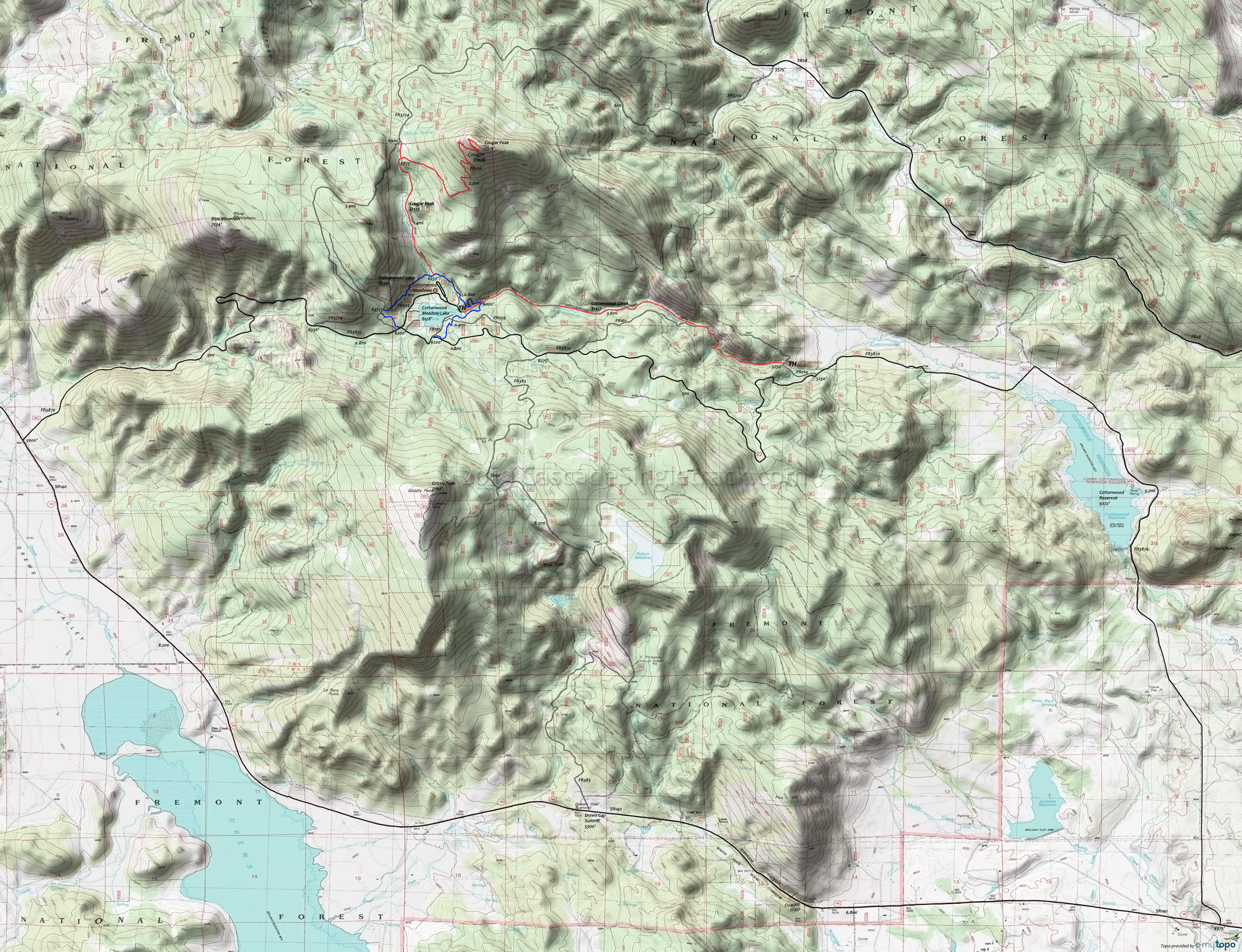  Cottonwood Creek, Cougar Peak Area Topo Map