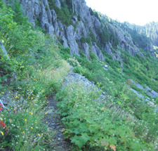 View of Bluff Mountain hillside exposure