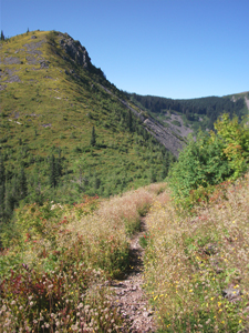 View of Bluff Mountain Trail