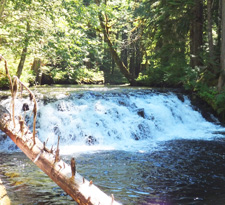 Lower Falls Creek Falls
