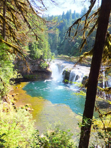 Lewis River Falls