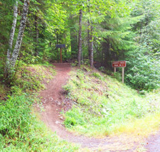 Quartz Creek Trailhead near Lewis River