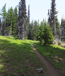 View of Lookout Mountain Trail at Eightmile Meadow
