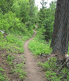 View of Bottle Prairie trail