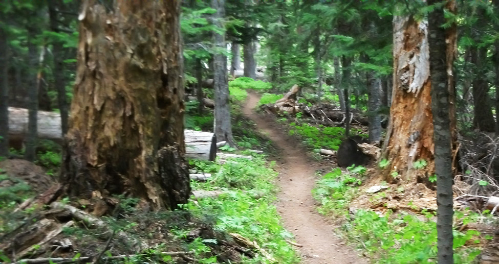 Knebal Springs Trail