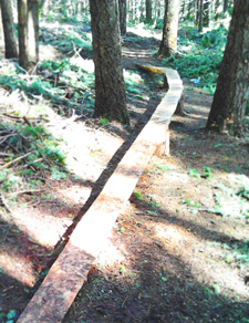 View of hillside Post Canyon singletrack