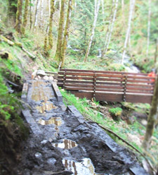 View of Sandy Ridge Hide and Seek Bridge