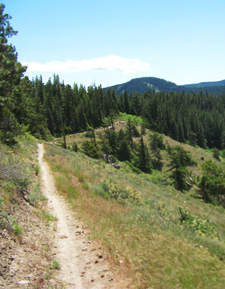 View of slope near Shellrock Mountain