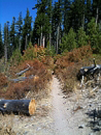 Surveyors Ridge Trail