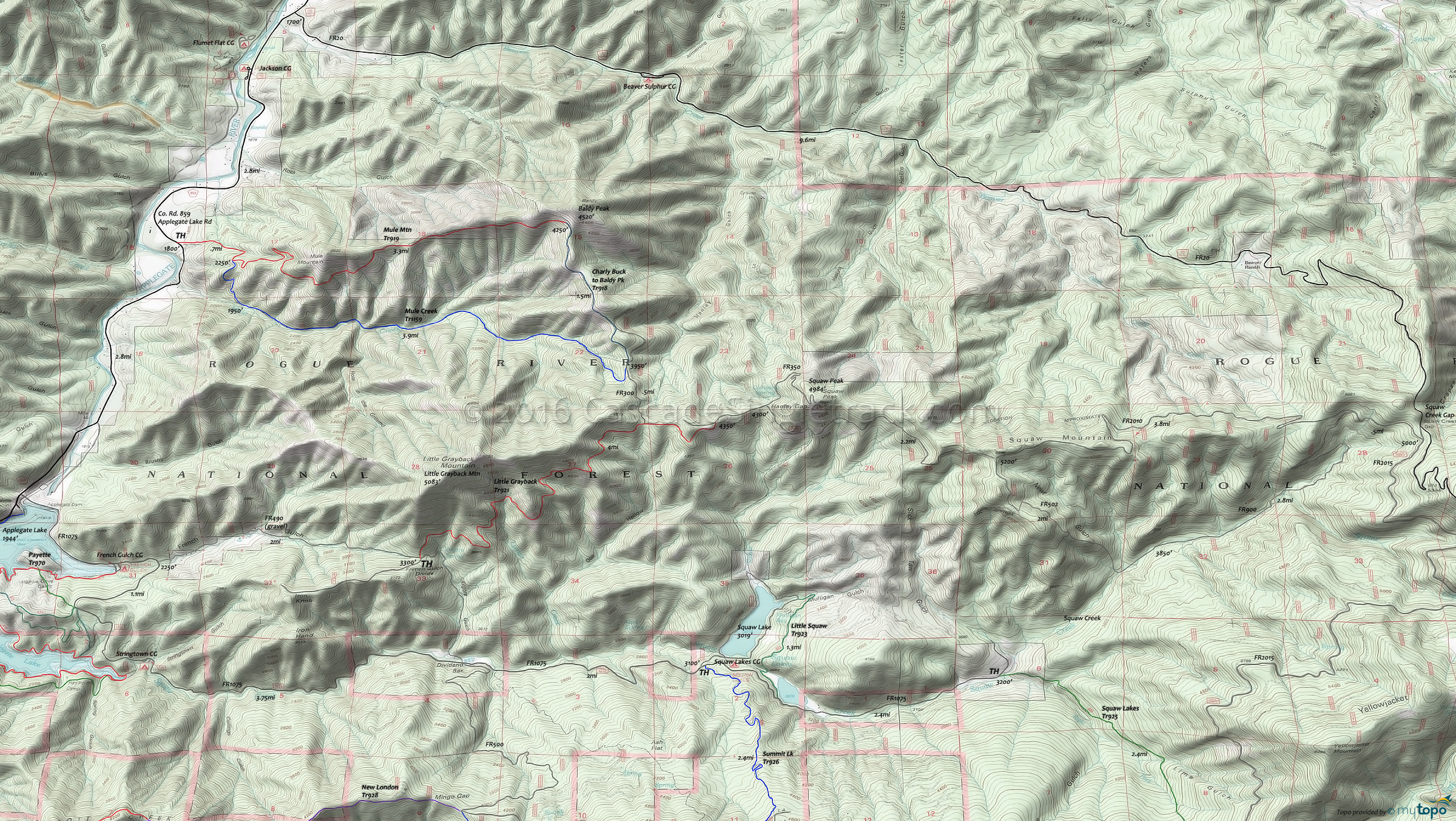  Little Grayback Trail 921 Area Topo Map