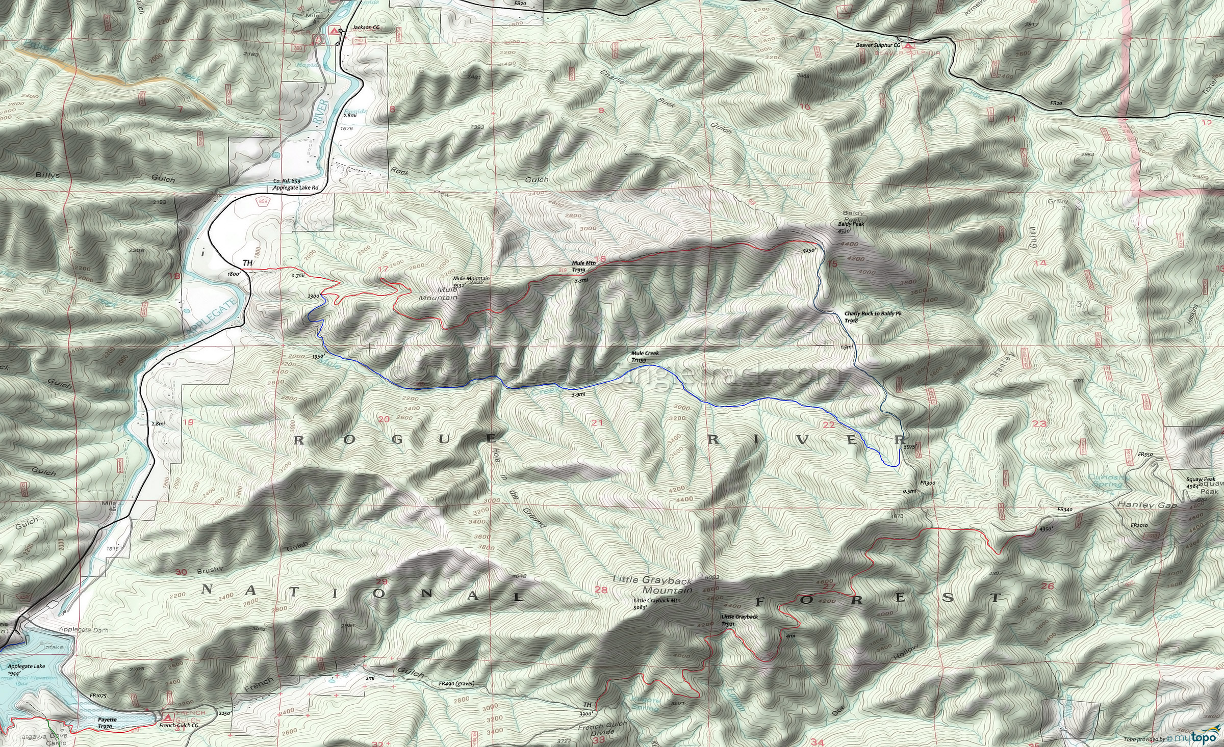 Mule Mountain Area Topo Map