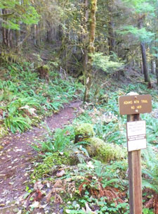 View of the lower Adams Mountain Trailhead