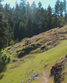 View of North Umpqua River Trail Deer Leap Tr1414