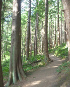 View of Fragrance Lake Trail