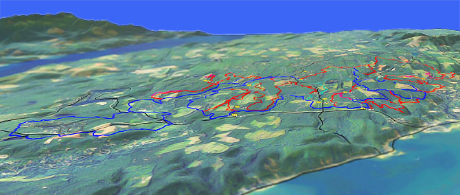 3D view of Tahuya State Forest Trails