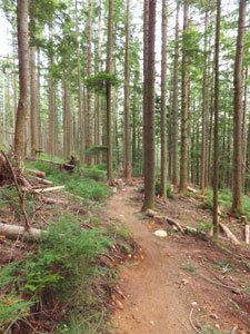 View of the Off The Grid trail, near the switchbacks