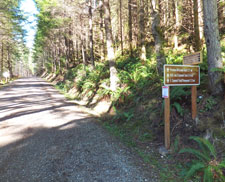 View of East Tiger Mountain Summit Road