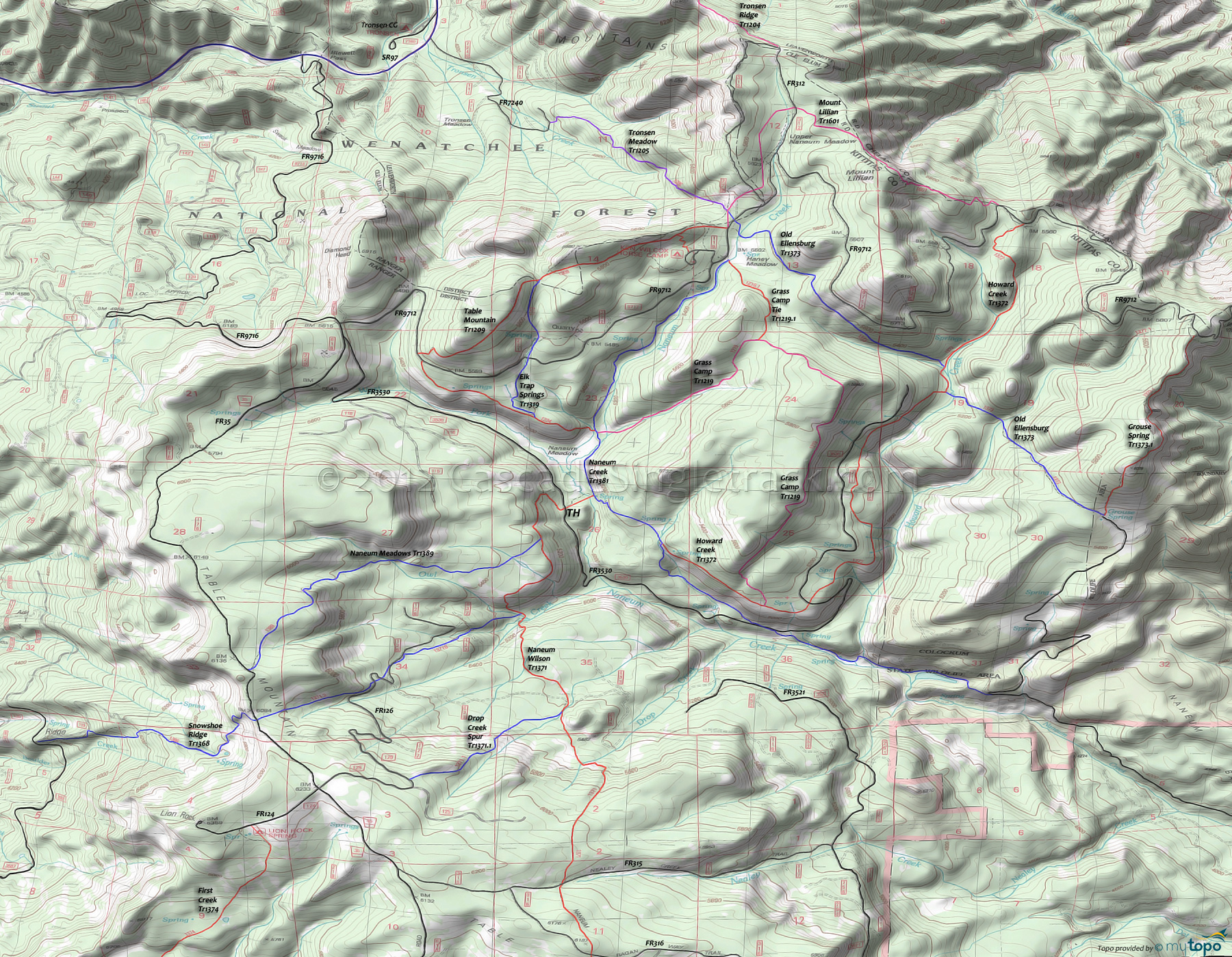 Elk Trap Springs Trail 1319, Grass Camp Trail 1219, Grouse Spring Trail 1373.1, Howard Creek Trail 1372, Mount Lillian Trail 1601, Naneum Creek Trail 1381, Naneum Meadows Trail 1389, Naneum Rim Trail 1234, Old Ellensburg Trail 1373, Table Mountain Trail 1209 Area Topo Map