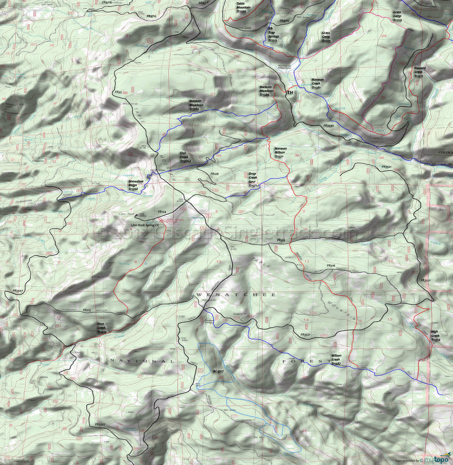 Drop Creek Spur Trail 1371.1, First Creek Jeep Trail 4W318, High Creek Trail 1354, Naneum Wilson Trail 1371, Naneum Meadows Trail 1389, Snowshoe Ridge Trail 1368, Wilson Creek Trail 1387 Area Topo Map