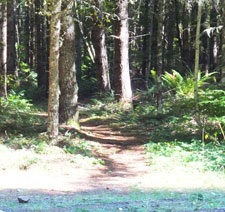 Lost Creek FR511 Trailhead