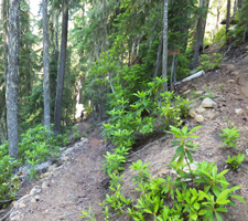 View of Switchback Descent from FR353