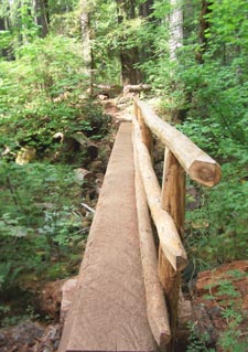 View of McKenzie River Trail Foot-Bridge