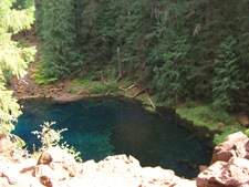 View of McKenzie River Blue Tamolich Pool