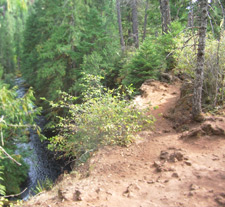 View of McKenzie River Cliff Exposure