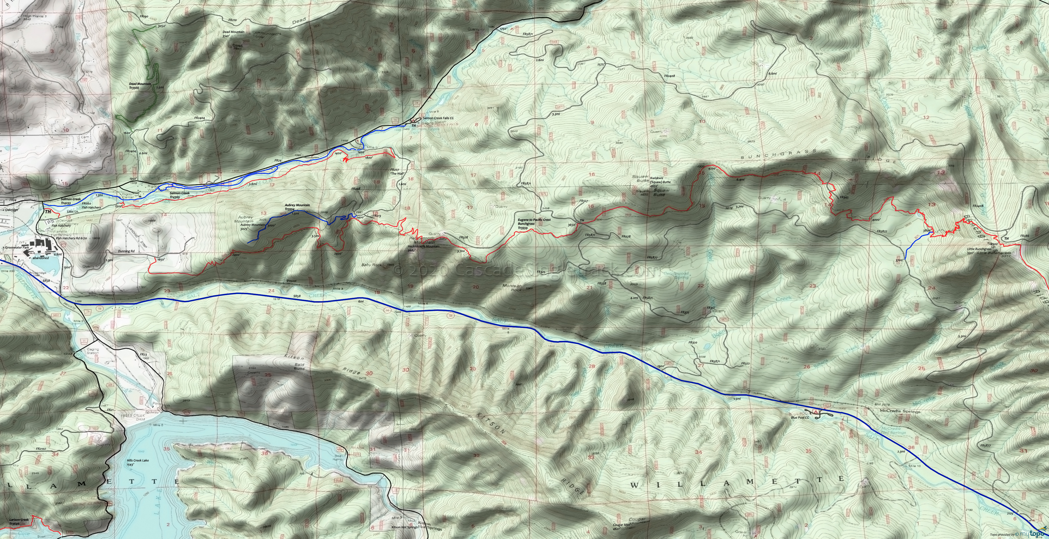 Aubrey Mountain Trail 3554, Bunch Grass Trail 3559, Dead Mountain Trail 3566, Salmon Creek Trail 4233 Area Topo Map
