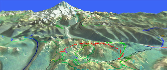 3D view of Crystal Mountain Trail #1163