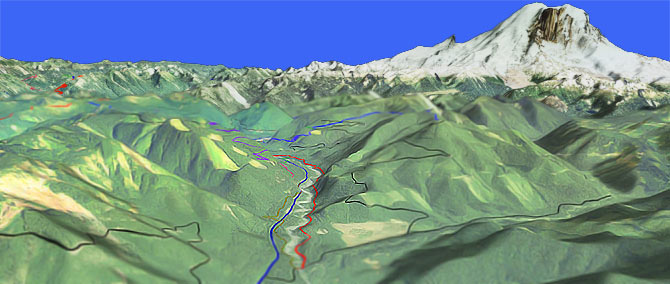 3D view of Skookum Flats Trail #1194