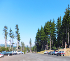View of the Dutchman Flat Parking Area