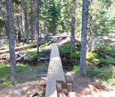 View of South Fork Trail 25 footbridge