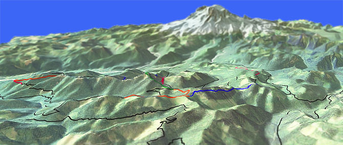 3D view of Osborne Mountain Trail #250