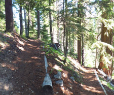East Fork trail switchback to Hood River