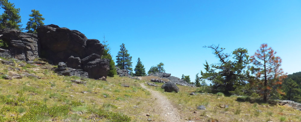 View of Cedar Creek trail