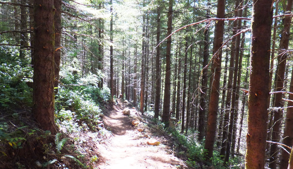 View of Sandy Ridge trail