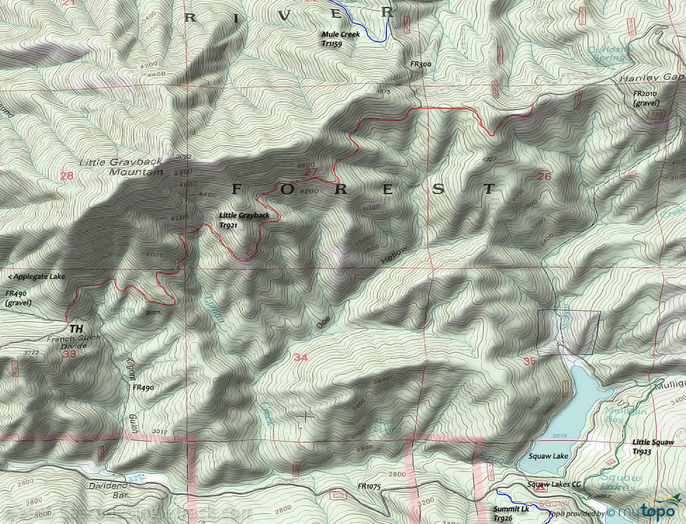 Little Grayback Trail #921 Topo Map