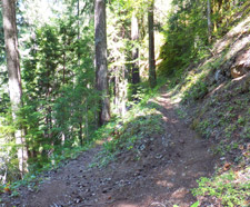 View of Willamette NF Olallie Trail 3529 switchback