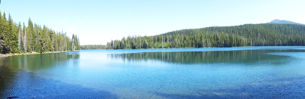 View of Bobby Lake