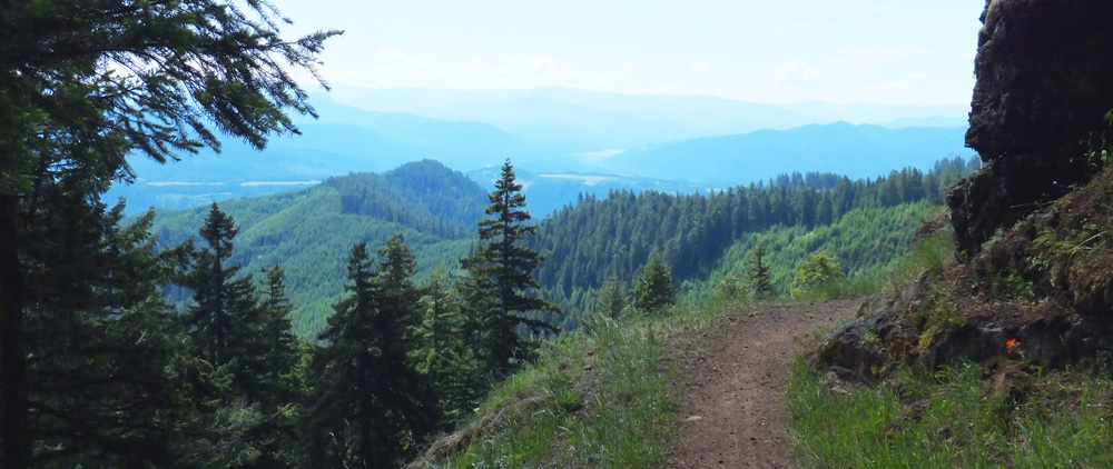 View of Alpine trail